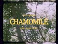 "Chamomile" - Preview