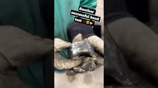 Bend Test #welding #learning #opportunity #schoollife #studentsuccess