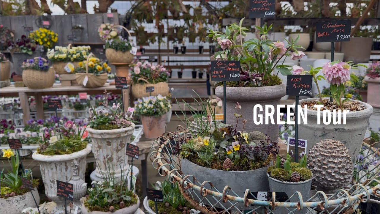 植えっぱなしで咲く球根たちとクリスマスローズでつくる宿根草のお庭は可愛さ最強！春の訪れにわくわくドキドキのお庭がつくれるお洒落で素敵な名店！| 金久| 園芸/ガーデニング店巡り | 大阪/日根野