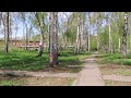 Лесоповал между Инициативной, Леонова в берёзовой роще(парк будет)Кировский - Кемерово
