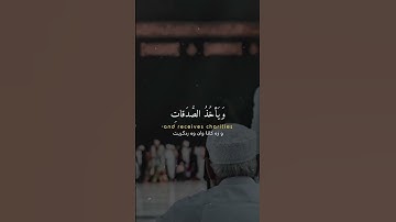 سورة التوبة الآيه 104