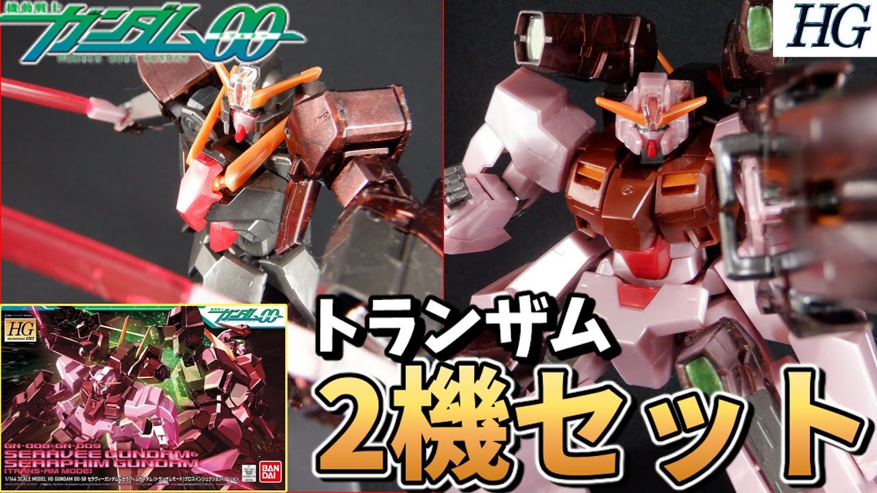 僕は通常カラーとはちがう！！】HG1/144 セラヴィーガンダム
