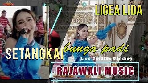 RAJAWALI MUSIC | SETANGKAI BUNGA PADI | LIVE DESA ULAK BANDING OGAN ILIR |  Khitanan"Abbymanyu&Pandu