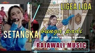 RAJAWALI MUSIC | SETANGKAI BUNGA PADI | LIVE DESA ULAK BANDING OGAN ILIR |  Khitanan'Abbymanyu&Pandu