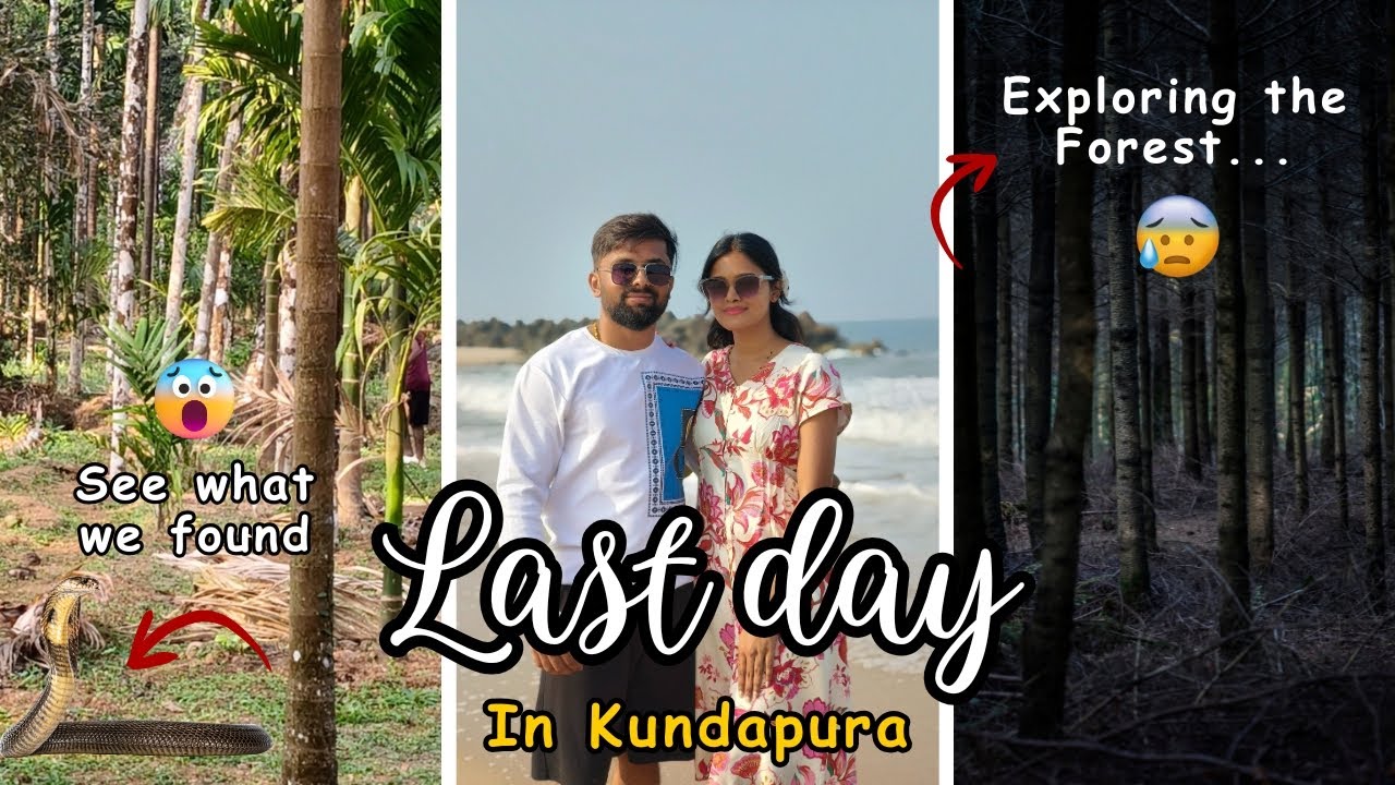 Exploring the Forest & Spotting a Snake🐍 | Last Day in Kundapur 🏕️ #travelvlog #adventure #wildlife