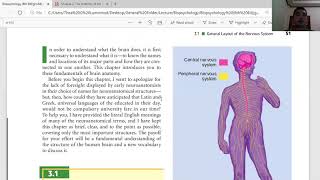 Biopsych Module 2 Video