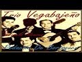 Trio Vegabajeño -  El amor del jibarito