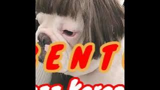 BENTO - JAZZ || KARAOKE TANPA VOCAL - KARAOKE LIRIK ON YOUTUBE