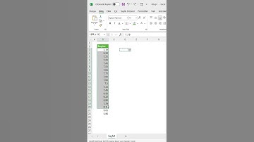 Microsoft Excel