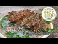【2020オンラインでまるごと久米島フェア】久米島漁業協同組合さんにインタビュー