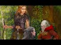 Witcher: Sword and Destiny Review