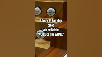 Thumbnail of LARGEST Pipe Organ in Asia! Full Volume!!!