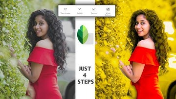 Snapseed New Style Photo Editing |How To Edit Photo In Toolwiz Application |Ps Express Photo Editing