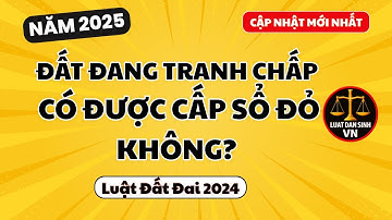 Đất Đang Tranh Chấp Có Được Cấp Sổ Đỏ Không? | Luật Đất Đai Mới nhất năm 2024