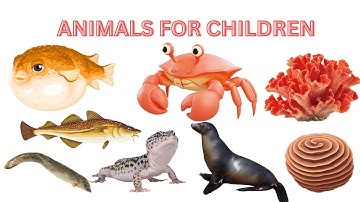 100 Amazing Animals! Fast Runners, Swift Swimmers & High Fliers