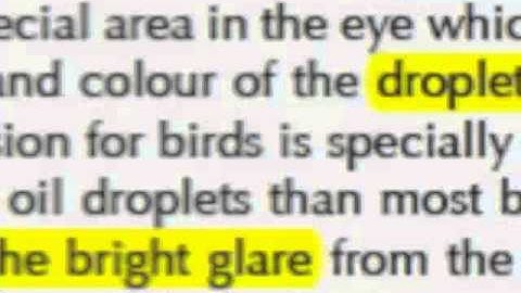 IGCSE ESL Exercise 4