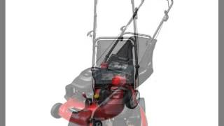 Power Smart DB6902 Review - Power Smart DB6902 20-Inch 196cc Gas Powered 3-N-1 Push Lawn Mower