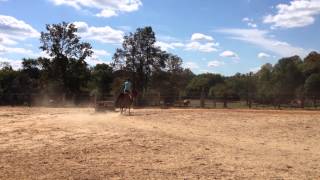 Nicholas Flatwork 3