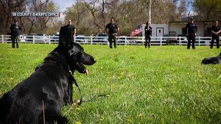 Santa Barbara County Sheriff’s K-9 Odin Retires