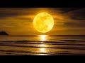 Sleep Music 24/7, Meditation Music, Insomnia, Sleeping Music, Relaxing Music, Spa, Zen, Study, Sleep