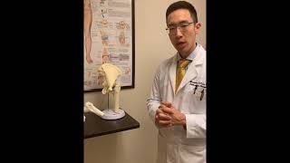 Total Hip Replacement