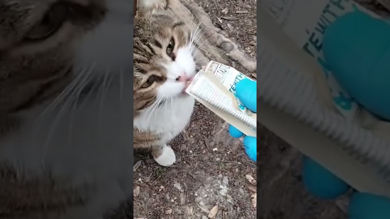 our big enemys Krassi and Bellini 🍀💓🤞 