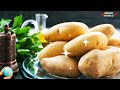 POTATO FEST