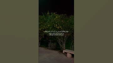 قالوا يا نوح قد جادلتنا فأكثرت جدالنا | #سلمان_العتيبي #سورة_هود
