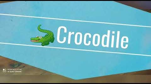 Blocks  Crocodiles /mega building blocks/how to make a blocks crocodiles.
