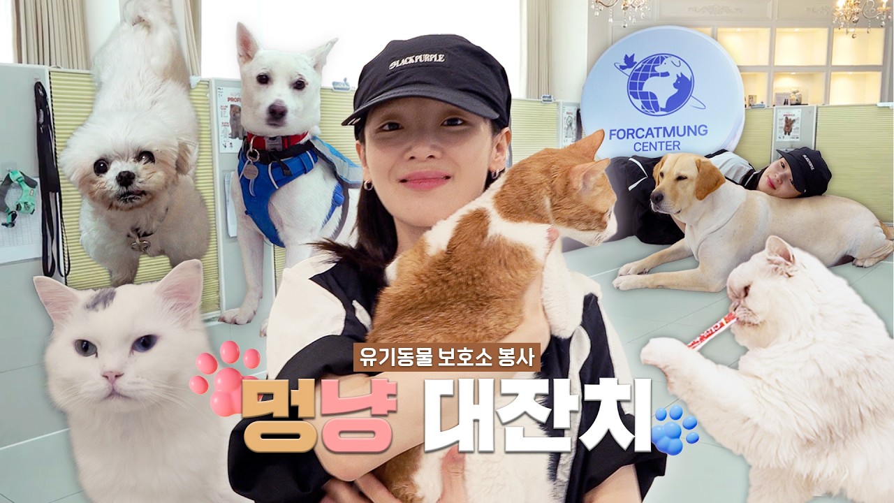 🐱승희의 멍냥진창 포캣멍센터 방문기🐶 | 봉사활동이라고 쓰고 힐링이라고 읽는ㄷr…🍃