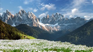 Sound of Music Projections Demo