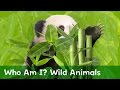 Can You Guess Which Wild Animals are Hiding?