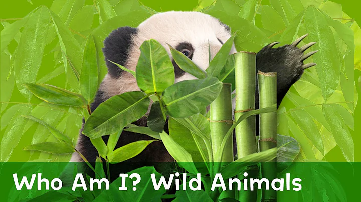Can You Guess Which Wild Animals are Hiding?