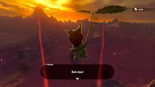 Zelda Breath Of The Wild 100% - All Koroks - Hyrule Castle
