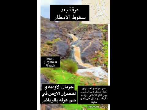جريان الأوديه و اخضرار الارض في حي عرقه بالرياض