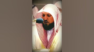 تلاوة  مرئية تريح القلب والنفس بصوت ماهر المعيقلي حالات واتس اب دينية قصيرة مؤثرة قرآن كريم