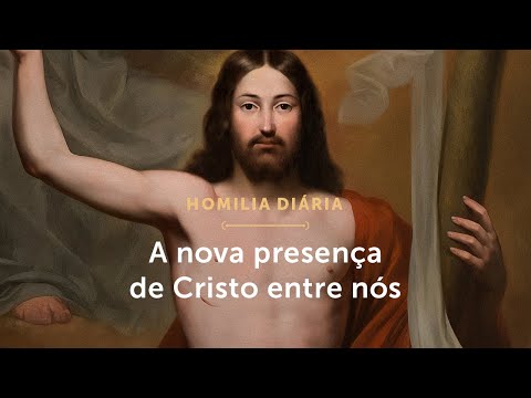 Homilia Diária |
