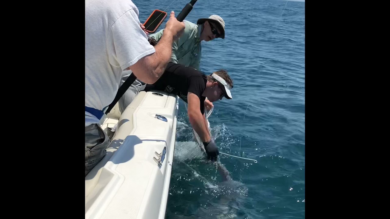 Mielnik shark trip June 5th 2021