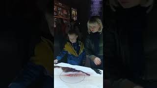 Мультимедийный исторический парк,РОССИЯ МОЯ ИСТОРИЯ. КРАСНОДАР Мультимедийный исторический парк,РОССИЯ МОЯ ИСТОРИЯ. КРАСНОДАР