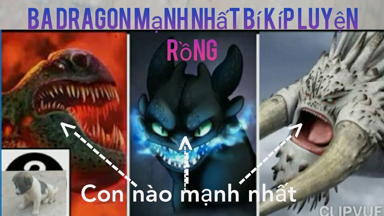 Tóm 3 con rồng mạnh nhất trọng Dragon ( bí kíp luyện Rồng) - YouTube