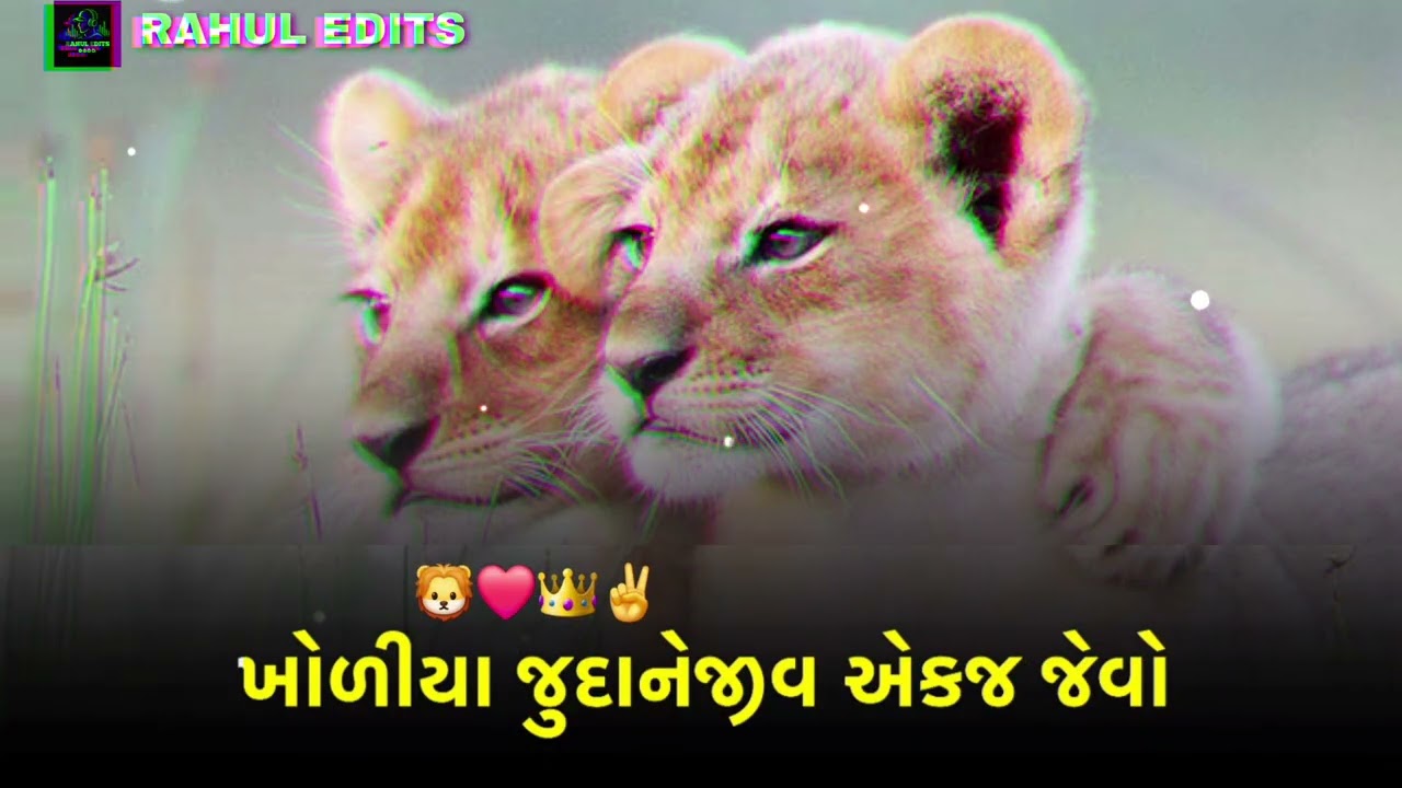 ખોળીયા જુદાનેજીવ  એકજ જેવો 🦁😎 gujarati remix songs 