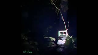 Credits Song For My Death Survived Midifreak