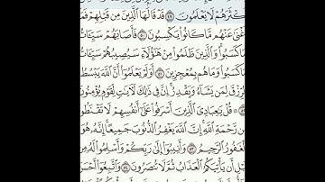 سورة الزمر 49-58 (٤٦٤)     Sheikh Anas AlHibri