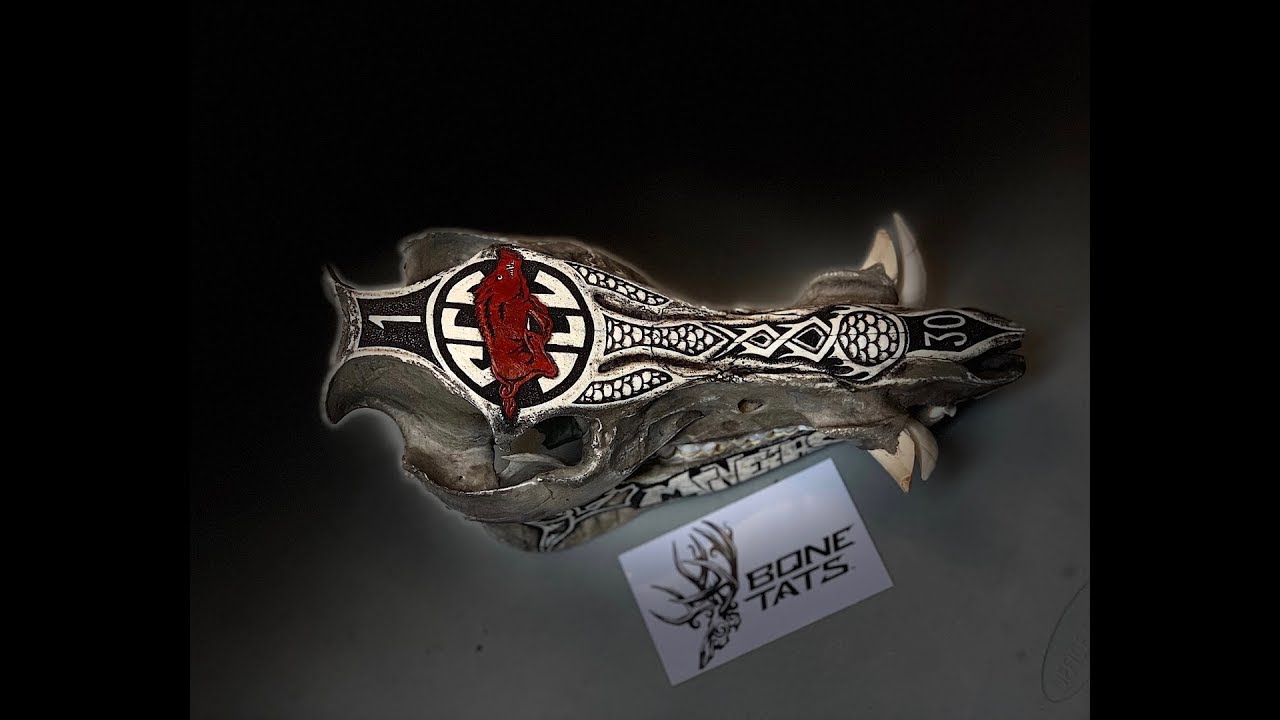 BONETATS tattoo engraves a RAZORBACK HOG SKULL for some big fans! - YouTube