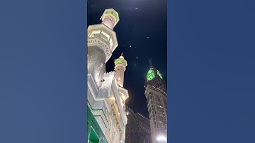 ياقومنا أجيبوا داعيَ الله ~ تلاوة خاشعة مُبكية للغرّيد الشيخ أ.د. : #ياسر_الدوسري | من سورة الأحقاف