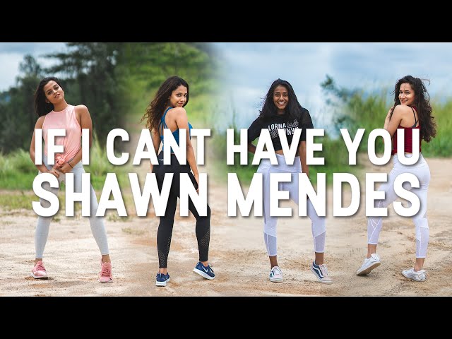 If I Can't Have You - Shawn Mendes | @Danceinspire | 2019 class=