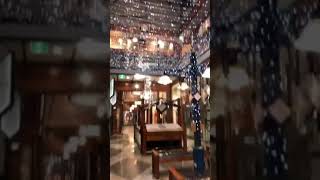 Christmas Lights in Brisbane city