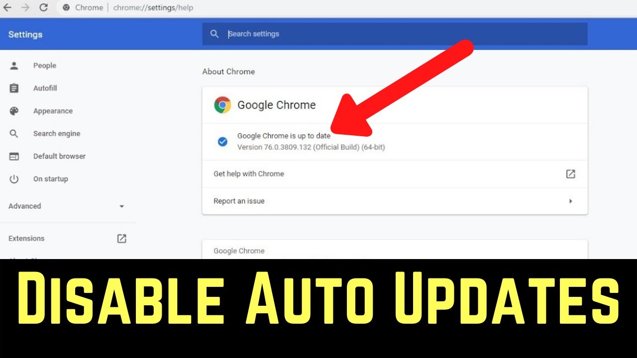 Disable browser extension automatic updates