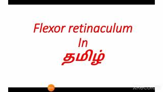 Flexor retinaculum in தமிழ்/Anatomy in Tamil/Carpal Tunnel in தமிழ்