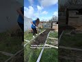 Week 1 Digging the Allotment! | I’ve Dug 1/3 of the Path!!!
